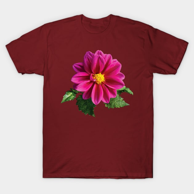 Daisies - Magenta Gerbera Daisy T-Shirt by SusanSavad